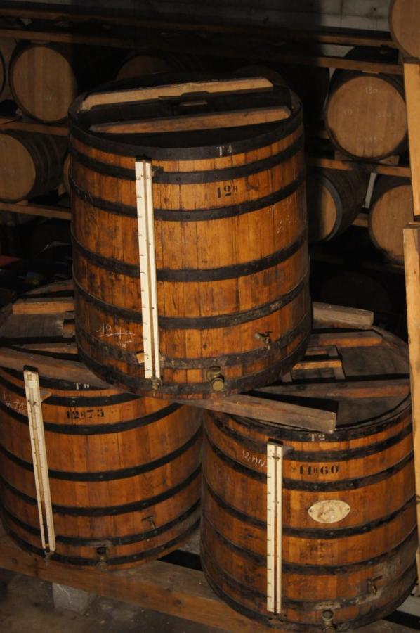 Chateau De Mons Armagnac Caussens Kültér fotó