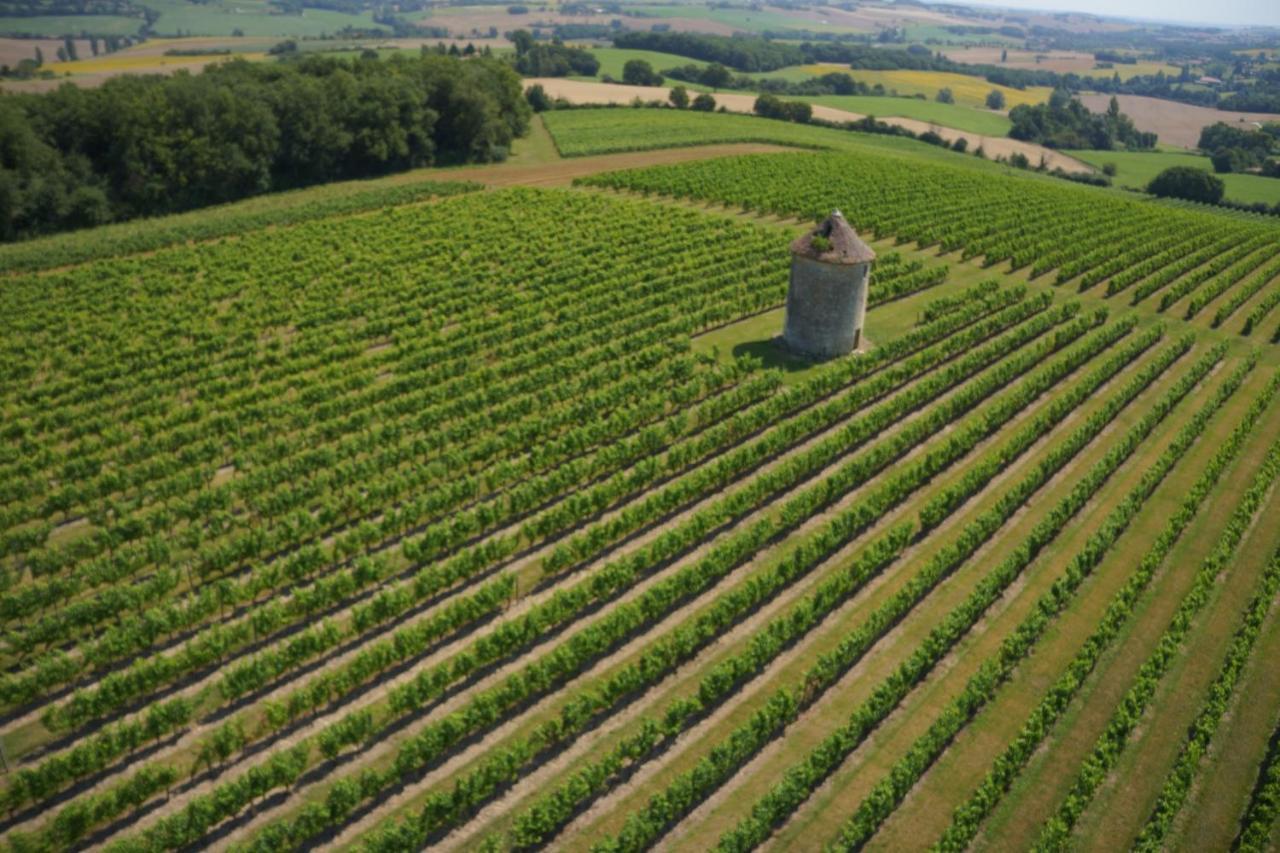 Chateau De Mons Armagnac Caussens Kültér fotó